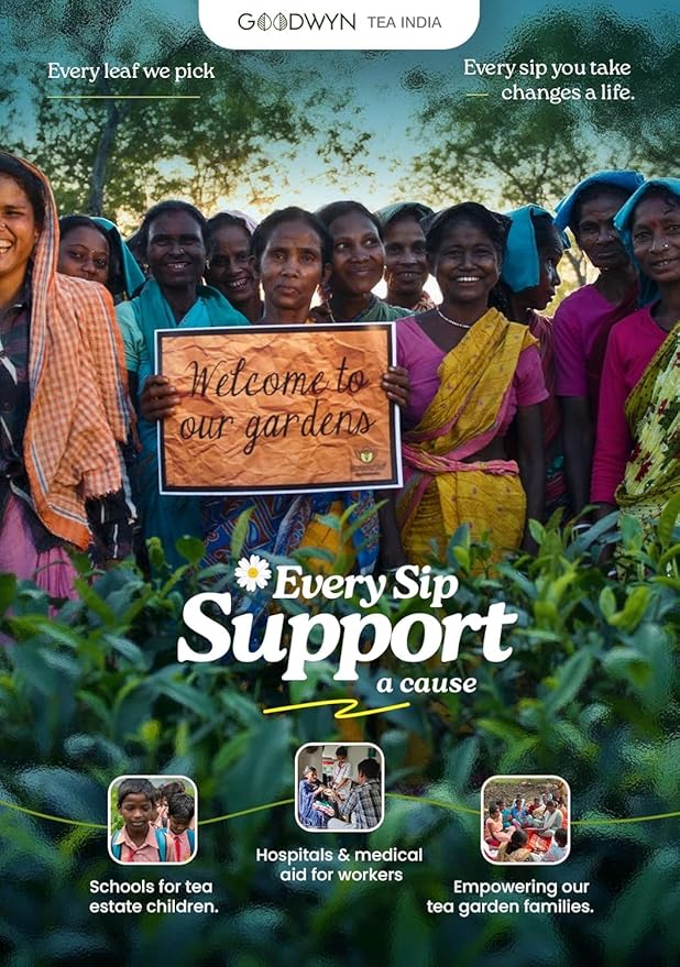 Goodwyn Peppermint Tea – 100 Individually Wrapped Herbal Tea Bags | Organic Mint Tea | Caffeine-Free | Plastic-Free Packaging | Refreshing Flavor | Indian Origin | Travel-Friendly