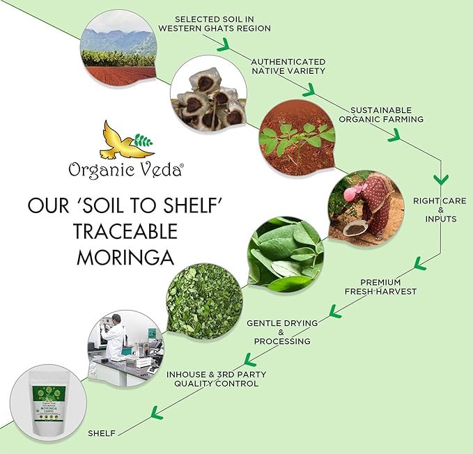 Organic Veda Moringa Tea Leaves - 100% Organic Dried Leaves - Moringa Oleifera Loose Leaf for Herbal Tea - Antioxidants Rich, Naturally Boosts Energy, Supports Digestion & Immune System - 7oz