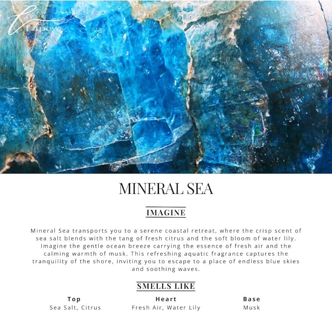 Car Air Freshener Diffuser – 2 Pack Hanging Air Freshener Diffuser (.34 Oz, Mineral Sea)