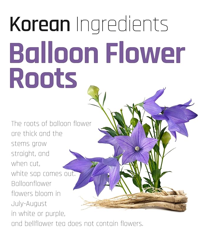 Ssanggye Bellflower Tea 0.7g x 40 Tea Bags, Premium Korean Herbal Tea Caffeine Free Dried Roasted Herb Refreshing 4 Seasons Sweet Daily Drink Tea