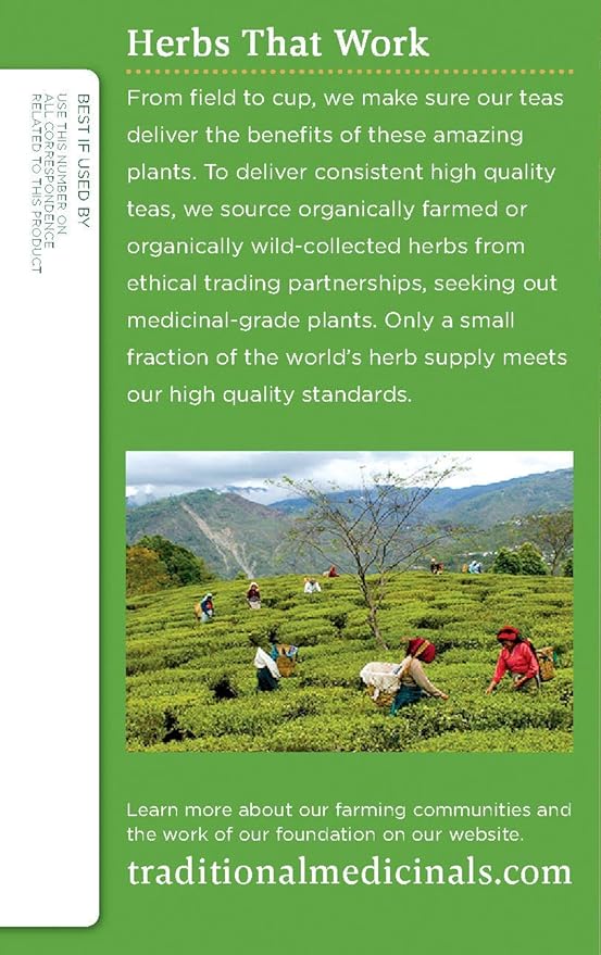 Traditional Medicinals Organic Green Tea Ginger Herbal Tea, Promotes Healthy Digestion, (Pack of 1) - 16 Tea Bags