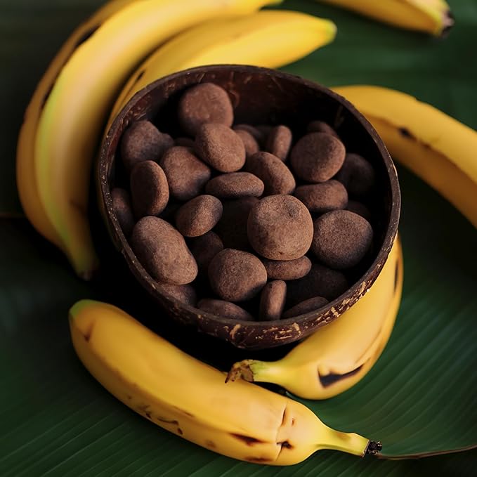 Naturanic Brazilian Dark Chocolate Covered Freeze-Dried Banana Snack, Gluten Free, No sugar, All Natural, Organic, Vegan - Pack of 2
