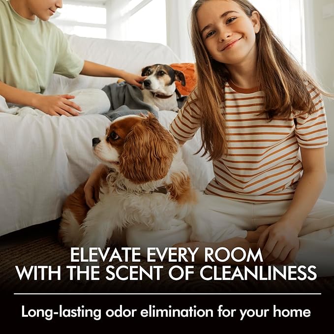 Fir & Forest Room Spray 2 Pack, 3.4oz/100ml Each – Long-Lasting Air Freshener & Odor Eliminator for Home, Bathroom, Bedroom & Office, Concentrated Room Spray