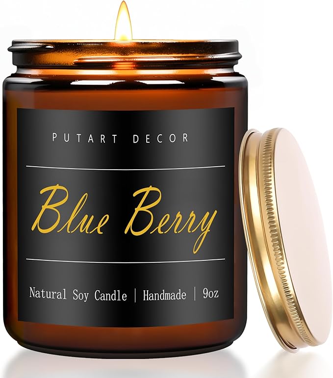 Blueberry Candles for Home Scented, Natural Soy Aromatherapy Non Toxic Candles with Long Lasting Fragrance & Clean Burn, Luxury Jar Candle Gift for Women, Men, Home Decoration 9oz