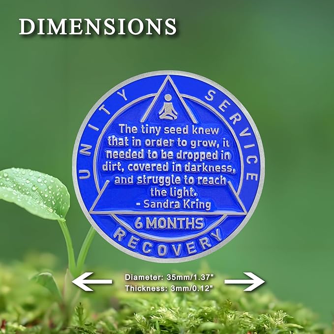 6 Month Sobriety Coin Sobriety Chips AA Chip AA Coins Sober Token Recovery Medallion NA Chips NA Coins from 1 to 12 Months Plastic case Included-Baking Paint Process