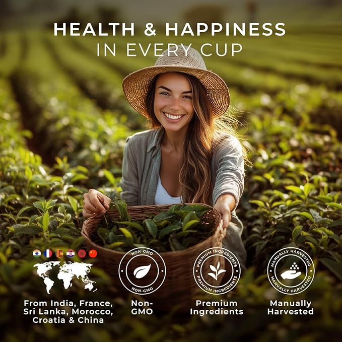 Gya Tea Co Her Wellness Assorted Tea Bags Variety Pack - 20 Bags 7 Seasonal Flavors - Caffeinated & Caffeine Free Holiday Tea Sampler Gift Set Box - Easy Brew, Natural Ingredients, Enjoy Hot or Iced