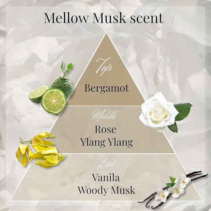 Luxury Japanese Incense Sticks 60sticks Mellow Musk White Musk Bergamot Vanila Coreless Low Smoke Natural Charcoal Free Non Toxic Aromatherapy Meditation Calming Stress Relief Relaxation Yoga TOMORI