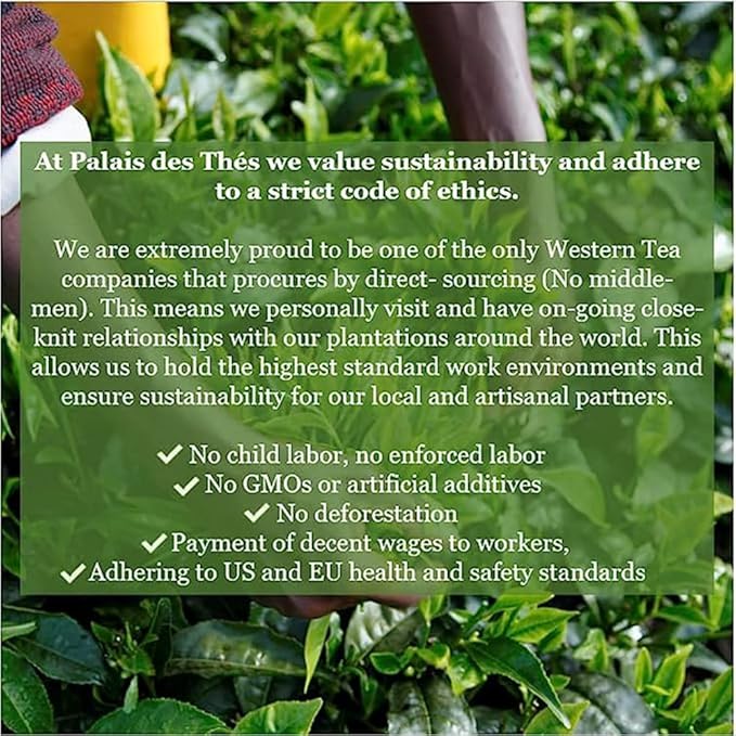 Palais des Thés - Spring Green Tea, Mint & Bergamot - Premium Tea Bags, Serves 20 Cups