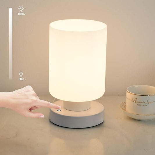 Cordless Bedside Lamp, Portable Rechargeable Table Lamps for Bedroom for Night Stands, Touch Stepless Dimmable Desk Lamp, Warm LED Bulb, Cylindrical Shape, 1 Set, White