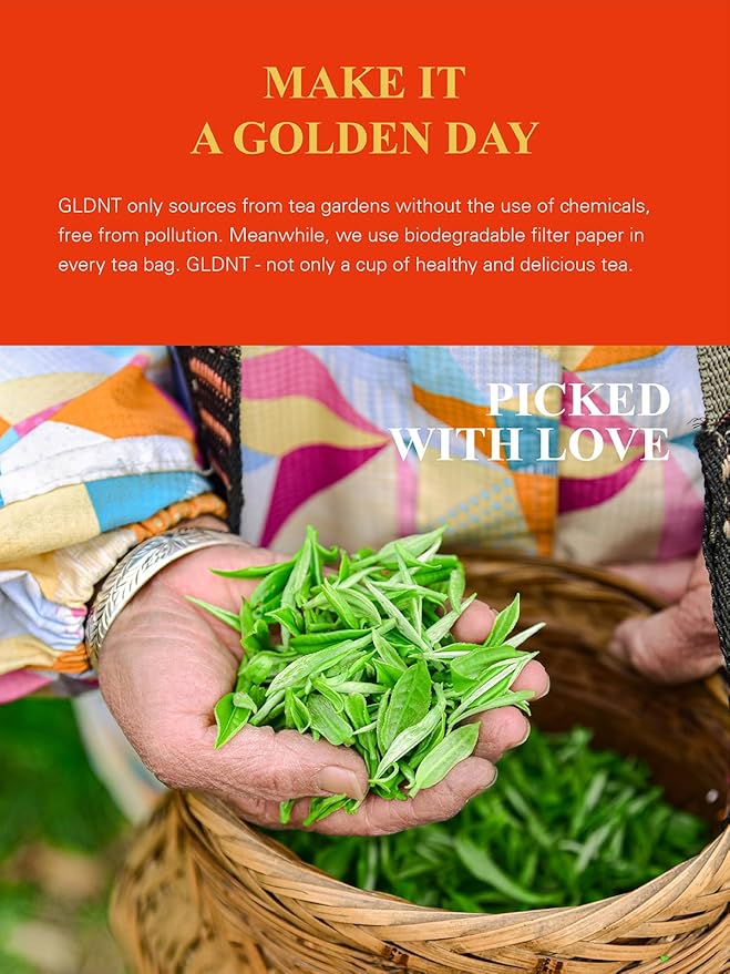 GLDNT Organic Lapsang Souchong Tea Bags, Organic Smoked Black Tea, Caffeinated, Full-Bodied Taste, Hot & Iced Tea, 100 Count