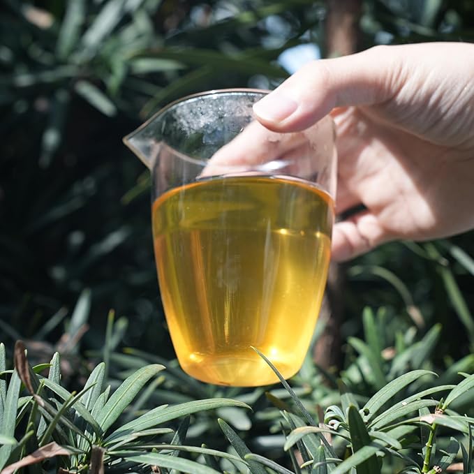 iTeaworld Chinese Flower Tea Sampler - 6 Flavor Mixed Pack (Jasmine Black/Green/Tieguanyin/Liu Bao Tea, Osmanthus Tieguanyin, Rose Black Tea), Assorted Tea, 20 Individual Small Packages, 3.53oz