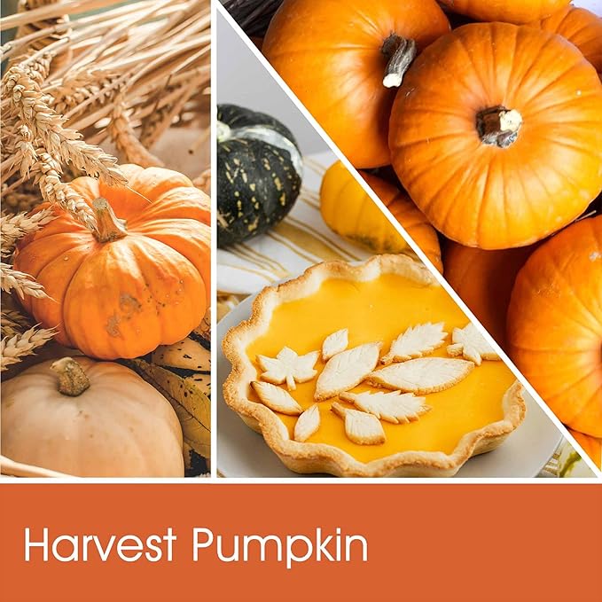 Fall Candle, Harvest Pumpkin Spice Candle, 19oz Large Fall Scented Candles Gifts for Women, Thanksgiving Candles, Thanksgiving Table Centerpiece, Farmhouse Harvest Decorations for Autumn Home Decor