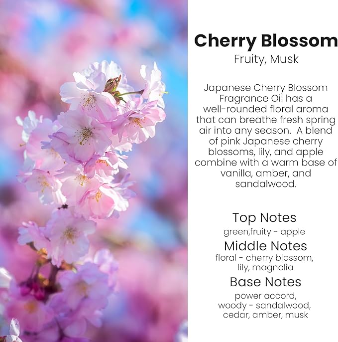 Car Air Freshener Hanging 2 Pack, Air Freshener Diffuser for Cars, Air Fresheners Diffuser oil For Car,Car Air Freshener For Women