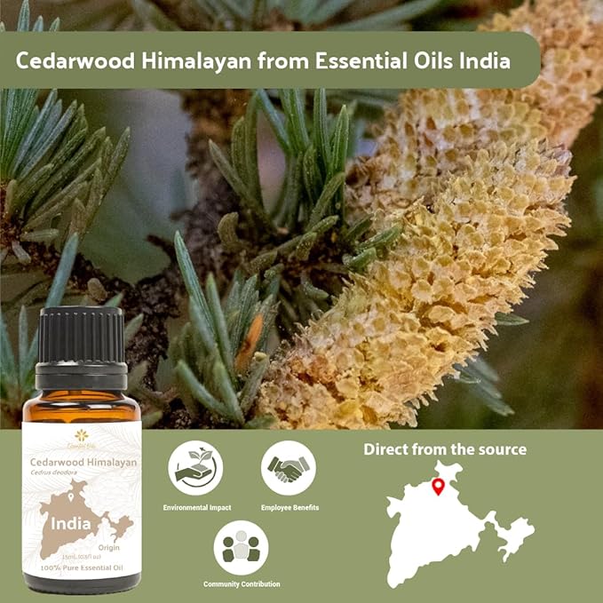 Cedarwood Essential Oil (Himalayan) - Direct from Hindustan Mint & Agro in India - Essential Oil for Diffusers and Aromatherapy | Pure Therapeutic Grade (15ml)