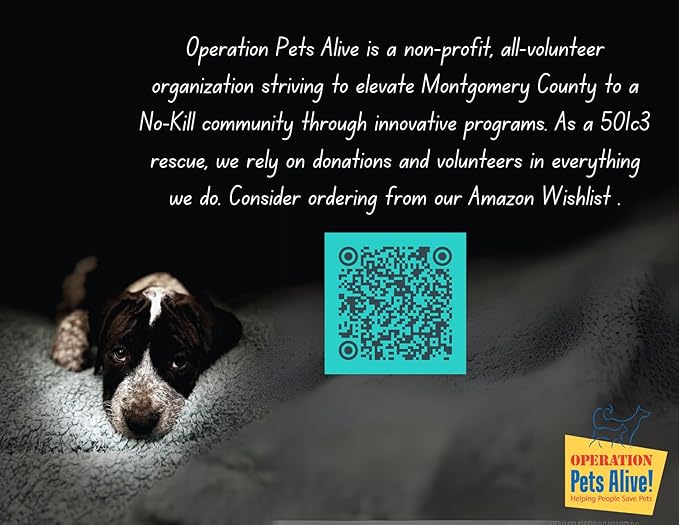 Blueberry Maple Pancakes Wax Melts – 4 Pack | Cold Weather Favorite | Supports Operation Pets Alive, The Woodlands TX