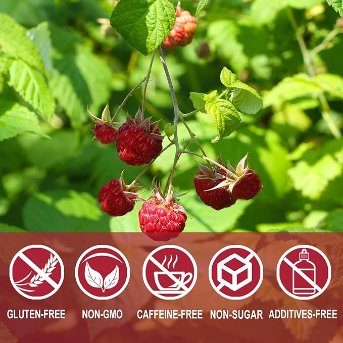 Jarteela - Raspberry Leaf Tea Bag, 1.5g x 60 Count - Natural Red Raspberry Leaf Herbal Tea Pregnancy - Premium Herbs - Non-GMO - Caffeine-free Tea - Aids In Digestion