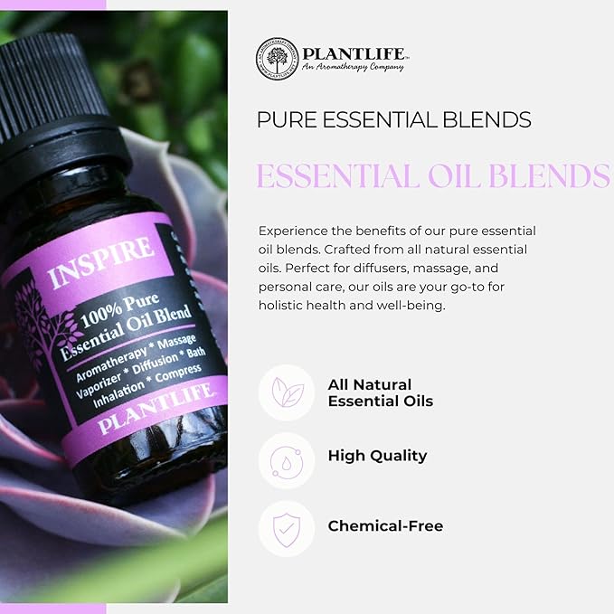 Plantlife Evergreen Aromatherapy Essential Oil Blend - Straight from The Plant 100% Pure Therapeutic Grade - No Additives or Fillers - Made in California 10 ml