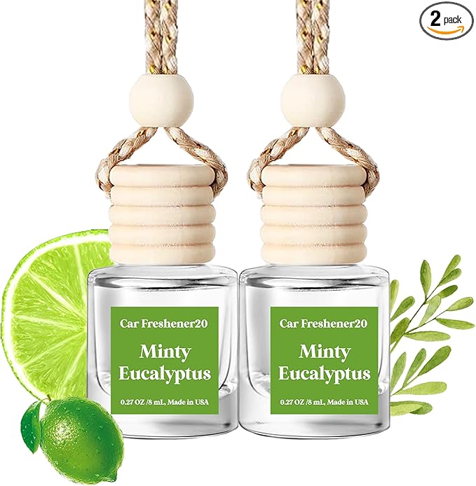 Car Air Freshener Hanging, Cute Air Diffuser, Long Lasting Car Fresheners for Women, Made in USA (2 Pack)