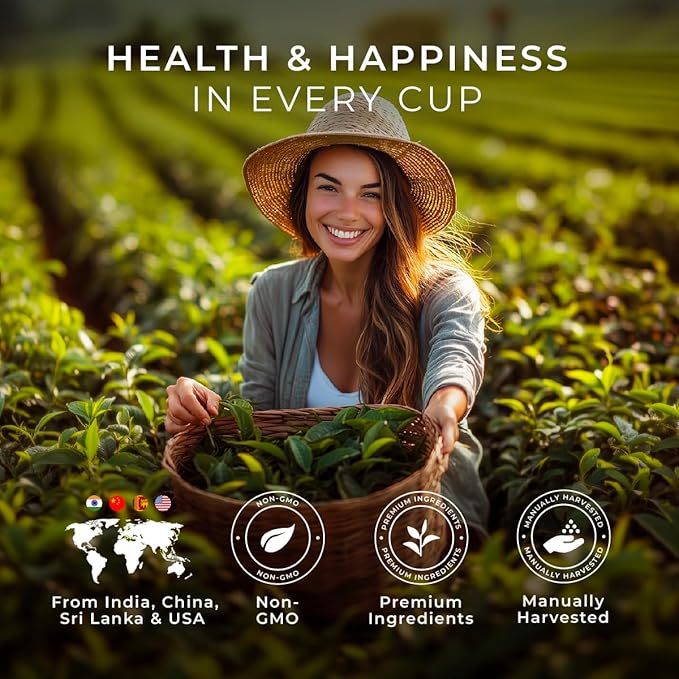 Gya Tea Co Christmas Tea Pod Collection Gift Set (16 Count) - Different Flavors Assorted Variety Pack