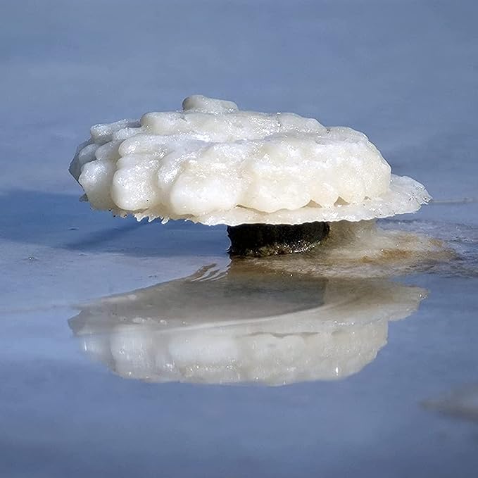 Dead Sea Magnesium Flakes Bath Salts | Premium Magnesium Supplement Bath Salts (5 Pound)