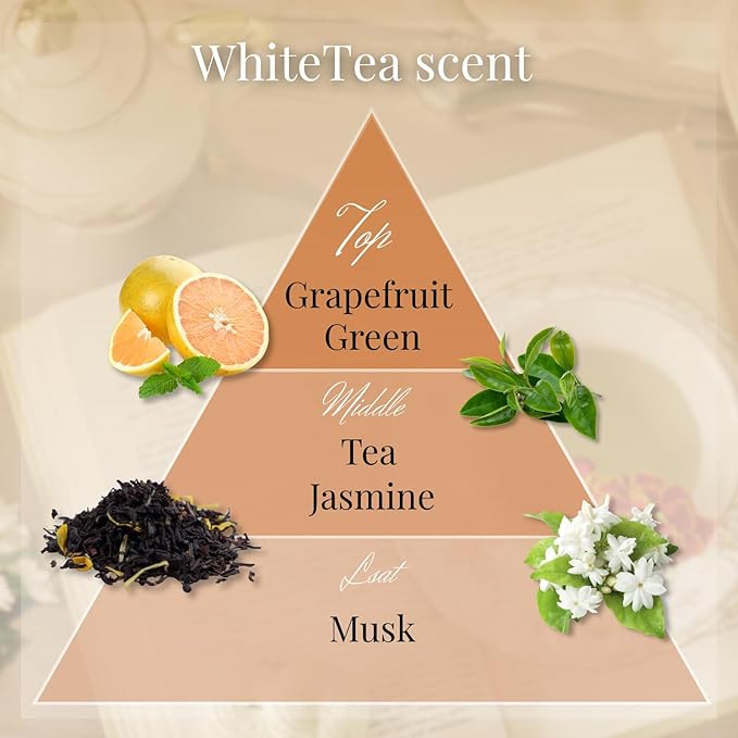 Luxury Japanese Incense Sticks 60sticks White Tea Jasmine Musk Grapefruit Coreless Low Smoke Natural Charcoal Free Non Toxic Aromatherapy Meditation Calming Stress Relief Relaxation Yoga TOMORI