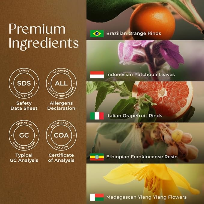 Gya Labs Peace Essential Oil Blend for Diffuser, Aromatherapy, Candle Making & DIY - Ingredients of Frankincense, Grapefruit & Patchouli (0.34 Fl Oz)