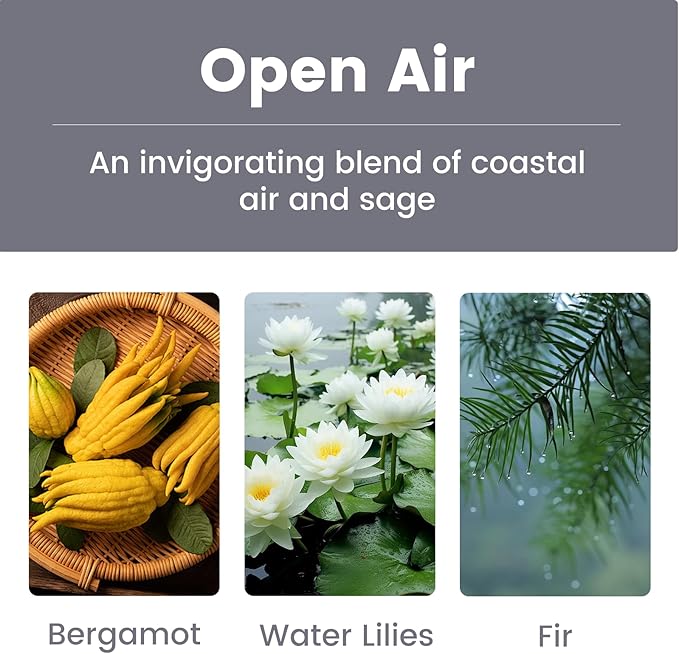 Long Lasting Car Air Freshener, 2-in-1 Magnetic Visor Clip & Hanging air freshener for car, Non-Toxic Cars Perfume Diffuser - OpenAir