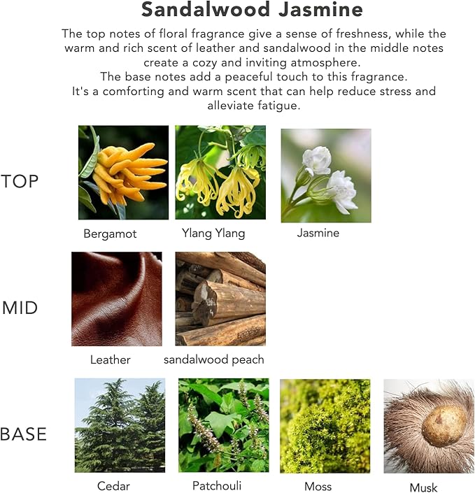 Jasmine Sandalwood Premium Reed Diffuser Set for Home, Strong Long Lasting Scent Natural Oil Diffuser for Bathroom Smells Good for Home (180ml)