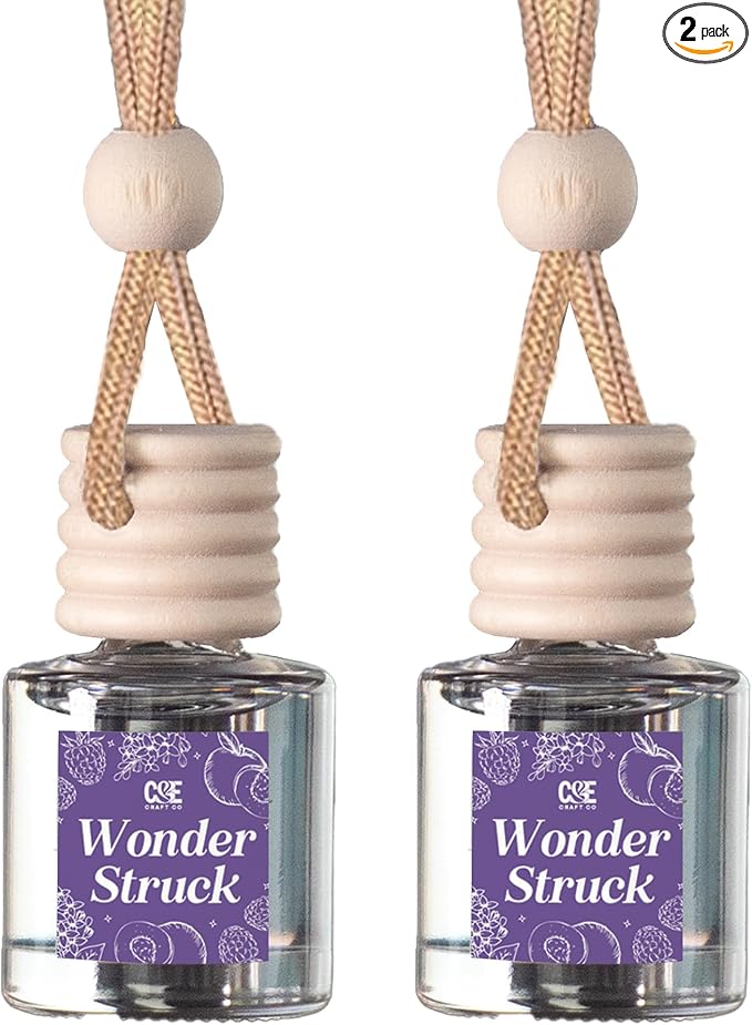 CANDECraftCo Car Air Hanging Fragrance Oil, Car Auto Freshener for Essential Oils, Scents Fragrance Aromatherapy Automobile Diffuser, Long Lasting (Wonder Struck)