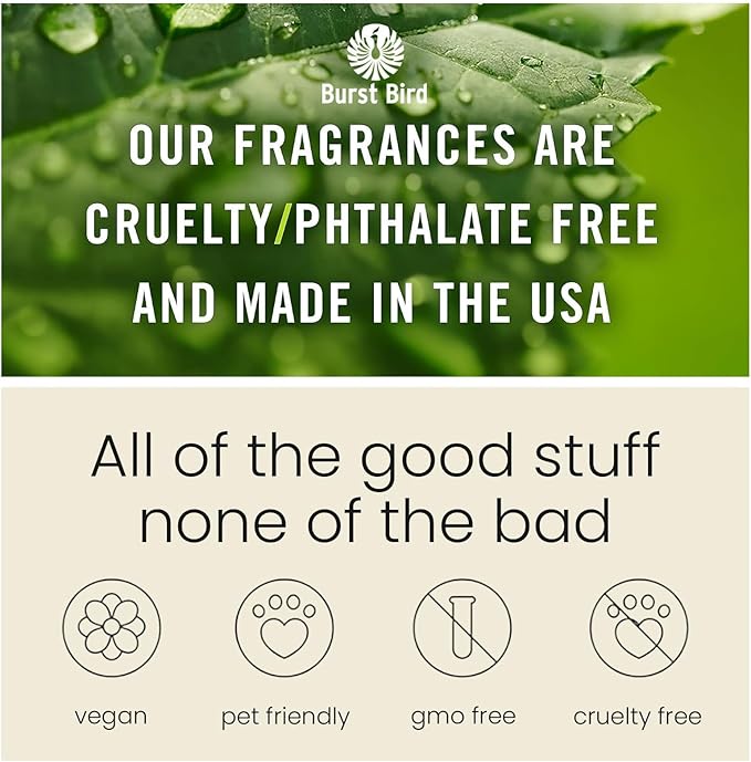 Car Air Freshener Hanging, Cherry Bloom Fragrance Oil Air Diffuser for Car, Long Lasting Car Air Fresheners, Made in USA (2 Pack)