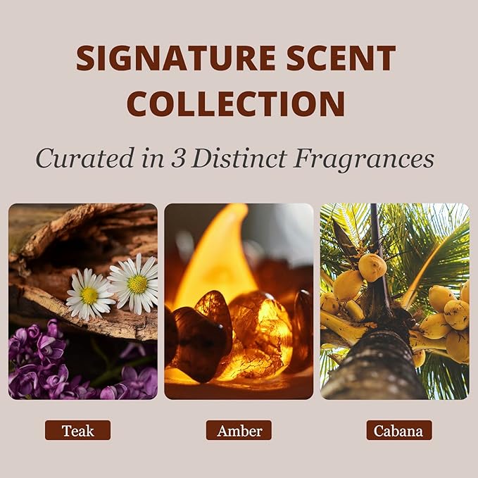 Car Air Freshener - Wood Air Freshener - Car Odor Eliminator for Visor Clip-Variety Scent Refill, Vehicle Scent Diffuser for Cabin, Truck & SUV - Pack of 3 (Teak-Amber-Cabana)-CLIP INCLUDED