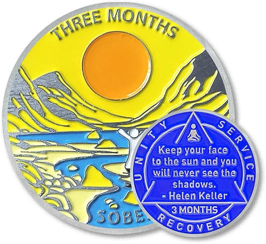3 Month Sobriety Coin 90 Day Sobriety Chips AA Chip AA Coins Sober Chip Token Recovery Medallion NA Chips NA Coins from 1 to 12 Month Plastic case Included-Baking Paint Process