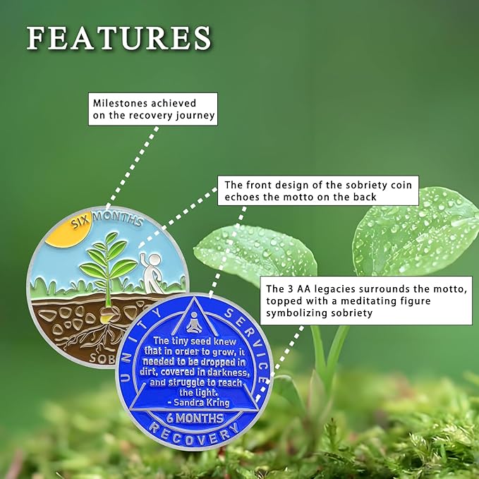 6 Month Sobriety Coin Sobriety Chips AA Chip AA Coins Sober Token Recovery Medallion NA Chips NA Coins from 1 to 12 Months Plastic case Included-Baking Paint Process