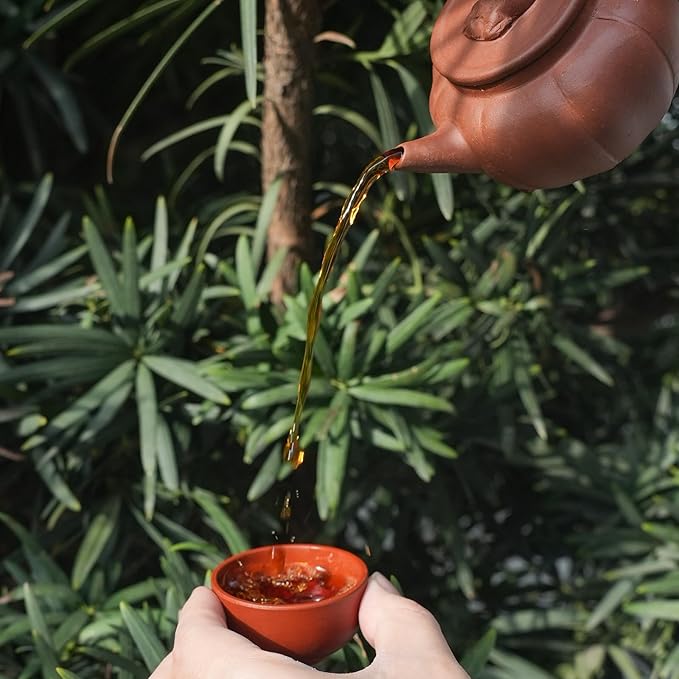 iTeaworld Chinese Flower Tea Sampler - 6 Flavor Mixed Pack (Jasmine Black/Green/Tieguanyin/Liu Bao Tea, Osmanthus Tieguanyin, Rose Black Tea), Assorted Tea, 20 Individual Small Packages, 3.53oz