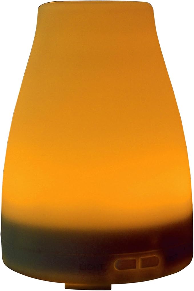 EcoGecko Essential Oil Diffuser, Aroma Oil Diffuser with Color Changing LED Lights Includes Cinnamon and Orange Oils