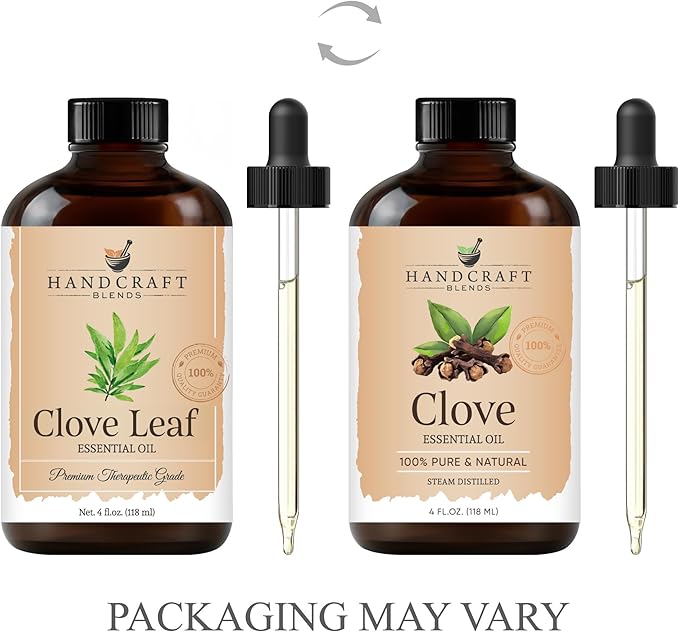 Handcraft Blends Clove Essential Oil – Huge 4 Fl Oz – 100% Pure and Natural – Premium Grade Essential Oil for Diffuser and Aromatherapy, Skin, Massage, Candle and Soap Making Fragrance