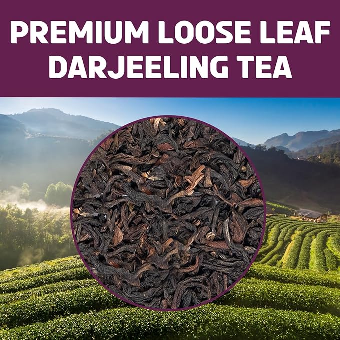 BREWIX, Darjeeling Tea Leaves from Hills of Himalayas (50+ Cups, 3.53oz/100g) | Pure Loose Leaf Darjeeling Black Tea | Long Leaf Grade | Straight From Source In India