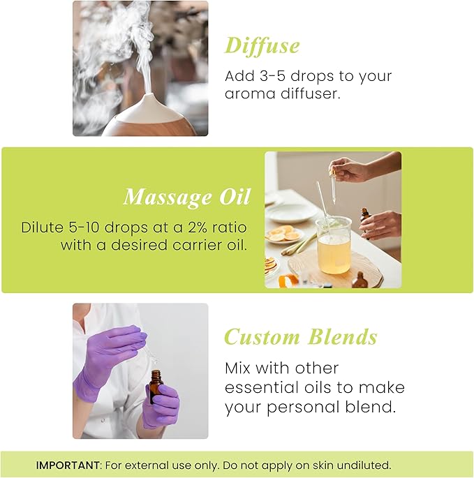 Handcraft Blends Citronella Essential Oil – 1 Fl Oz – 100% Pure and Natural – Premium Grade Essential Oil for Diffuser and Aromatherapy, Skin, Massage, Candle and Soap Making Fragrance