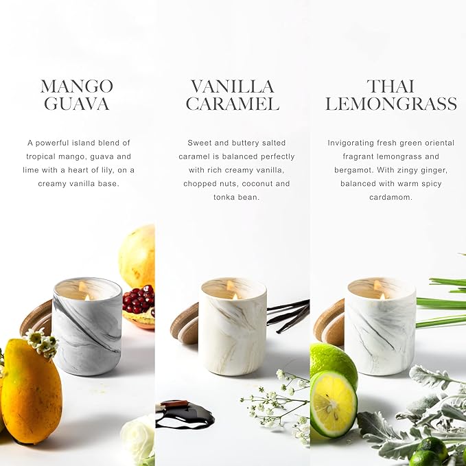 Candle Gift Set, 10% Essential Oil, 3 Pack-Thai Lemongrass,Vanilla Caramel,Mango Guava with Heat-Resistant Ceramic Jar, Scented Candle for Home Scenetd, Soy Wax Candle Gifts for Women