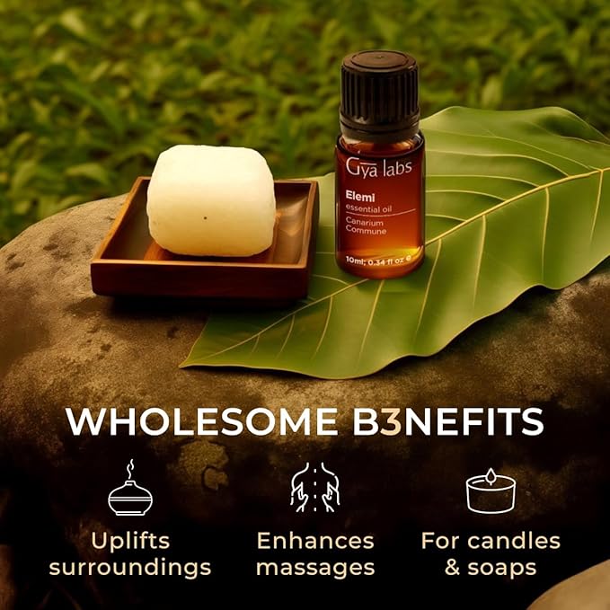 Gya Labs Elemi Essential Oil - 0.34 Fl Oz - for Hair, Skin, Diffuser, Aromatherapy & DIY Candle Making Scent