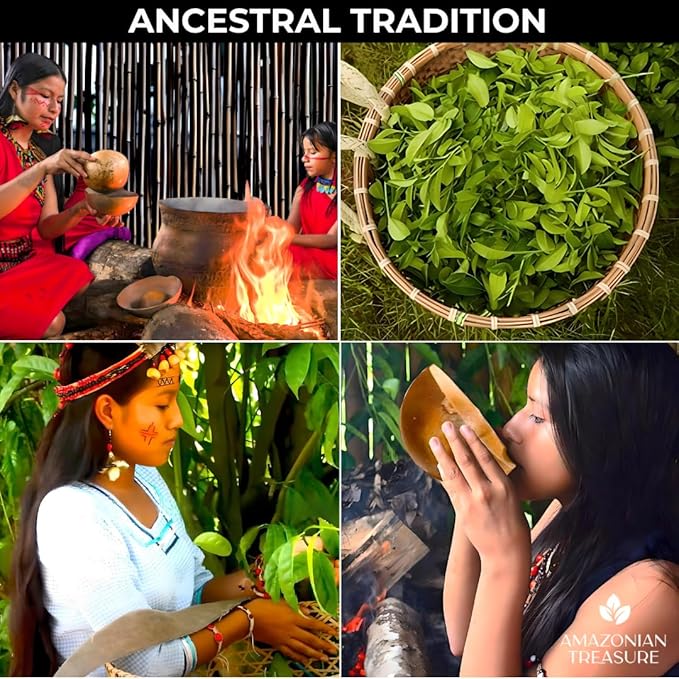 Amazonian Treasure, Organic Guayusa Tea Bags - 20 Count Box, Smooth Beverage Option, 50mg Caffeine Content, Premium Selection, Enhanced Experience Blend.