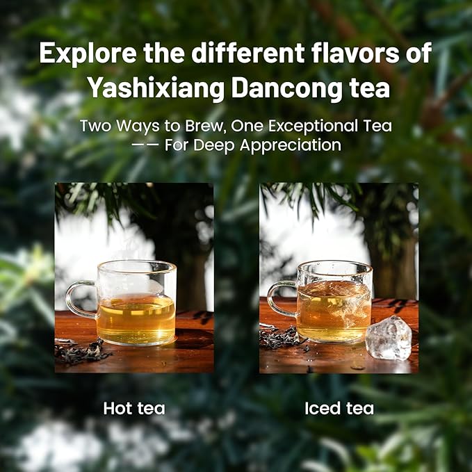 iTeaworld Ya Shi Xiang Dan Cong -Oolong Tea Loose Leaf, Premium Chinese Loose Leaf Tea with Rich Floral Aroma, for Hot and Iced Tea, 2025 Spring Harvest from Chaozhou, Guangdong- Whole Leaf Phoenix Dan Cong Oolong, 3.52oz