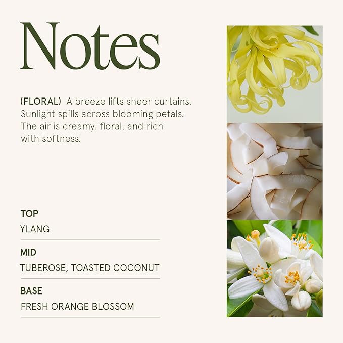 LA JOLIE MUSE Champs de Tuberose Scented Candle - Ylang, Tuberose, Orange Blossom | 10 oz Natural Soy Wax | 55 Hours Clean Burn | Floral Scented Candle | Gift-Ready for Hosts & Gatherings