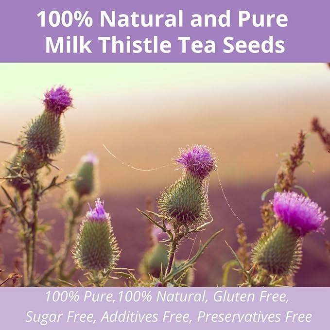 50 Milk Thistle Tea Bags, 3g/Bags, VitalForest Roasted Milk Thistle Seeds Herb Tea, Natural Dried Thistle Tea for Liver Detox Cleanse and Support, Caffeine Free, Non-GMO