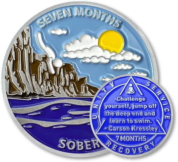 7 Month Sobriety Coin Sobriety Chips AA Chip AA Coins Sober Token Recovery Medallion NA Chips NA Coins from 1 to 12 Months Plastic case Included-Baking Paint Process