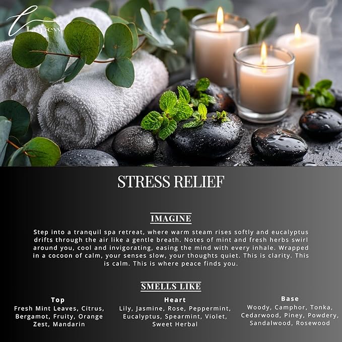 Car Air Freshener Diffuser – 2 Pack Hanging Air Freshener Diffuser (.34 Oz, Stress Relief)