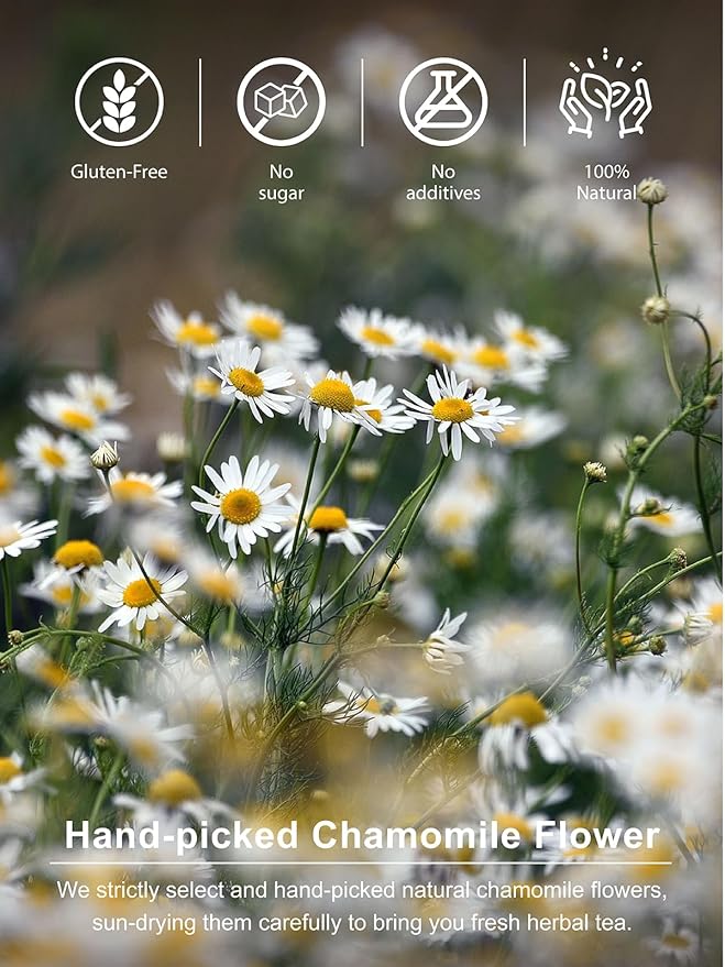 TeeLux Chamomile Tea Bags, 1g/bag, Natural Chamomile Flowers Tea, Mild & Smooth Taste, Caffeine Free, 100 Count