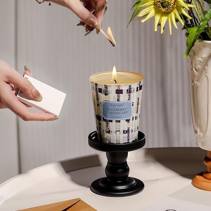 HomeLights Scented Candles for Women & Men, 6.7oz Candle Jars Aromatherapy Single Wick Candle, Ideal for Rustic Modern Home Decor and Gifts, Blueberry Cheesecake