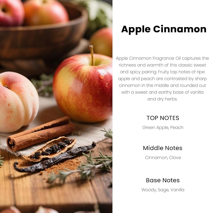 Car Air Freshener Hanging Diffuser – Long-Lasting Essential Oil Scent (Up to 60 Days) – Non-Toxic & Eco-Friendly – 2-Pack Auto Fresheners Made in USA