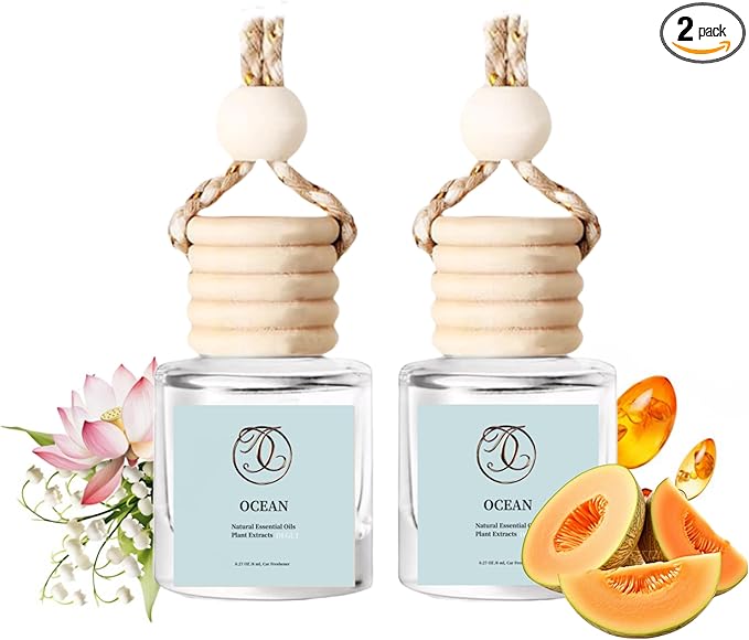 2Pack Ocean Breeze Scented Automotive Air Freshener Set, Car Accessories Decoration Hanging Scented Car Diffuser for Men Women Best Gifts
